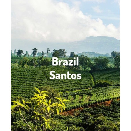 Brazil Santos | Freshly Roasted Arabica | Coffee Bean