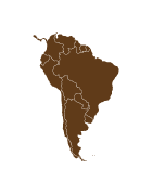 Premium South America Coffee Beans | Sochaccy Coffee Roasters
