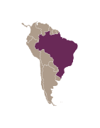 Kawy Brazylia|Sochaccy.Co| Sklep z kawą Palarni Kawy