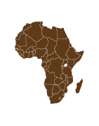 Kawa Afryki |Sochaccy.Co| Sklep z kawą Palarni Kawy Afryka