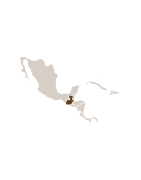 Kawy z Gwatemali |Sochaccy.Co| Sklep Palarni Kawy.