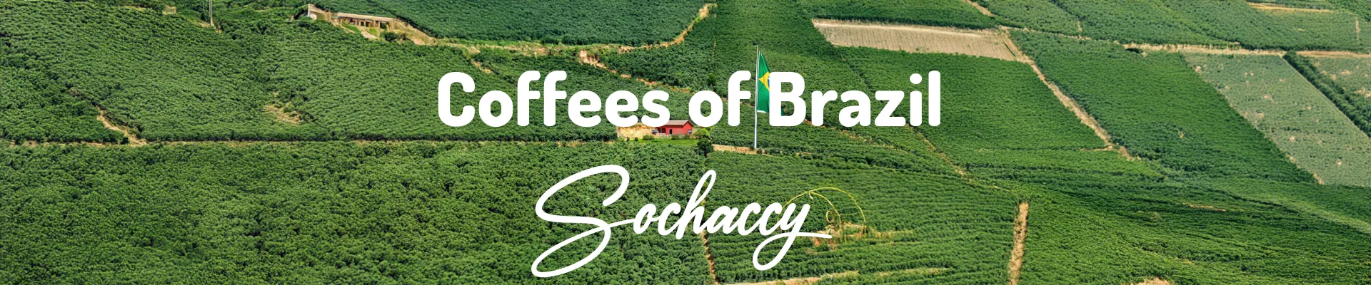 Coffees of Brazil