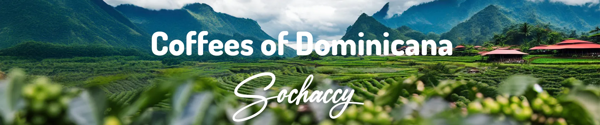 Kawa Dominikana