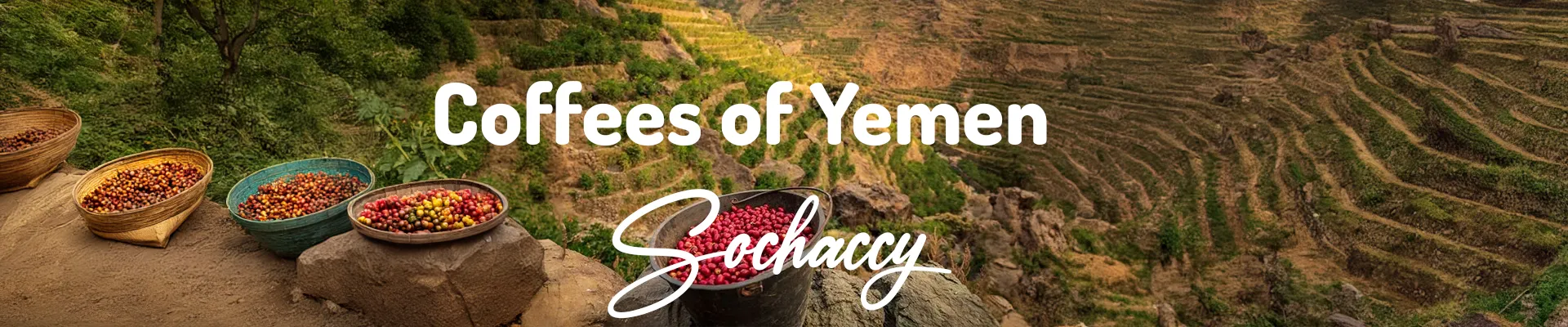 kawy Jemen
