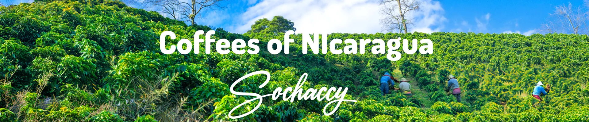 Kawa Nikaragua