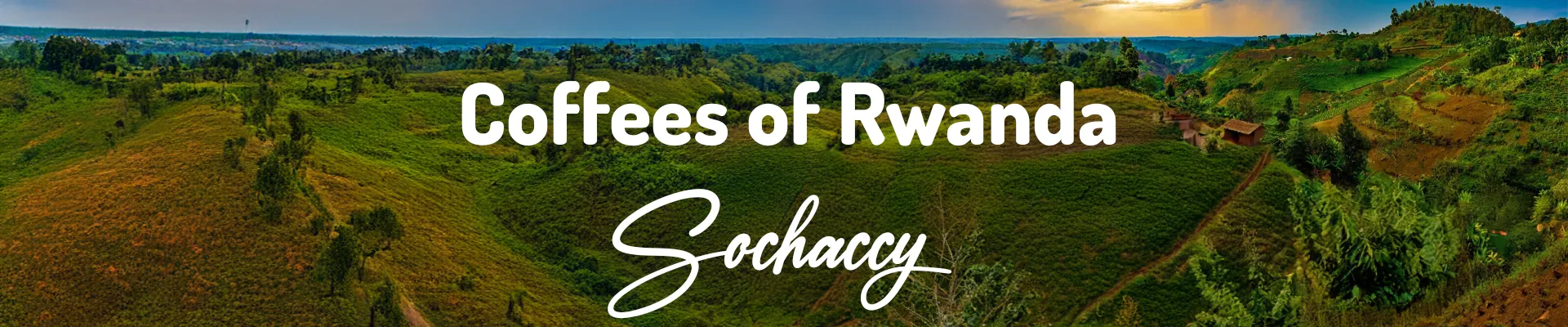Kawa z Rwandy
