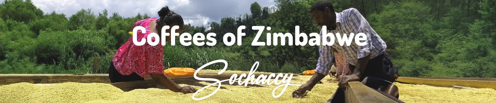 Kawy Zimbabwe