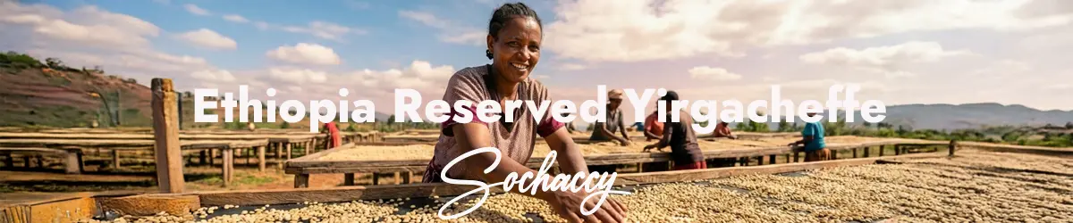 Etiopia Reserved Świeżo Palona Arabica Kawa Ziarnista Rzemieślnicza