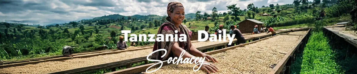 Kawa ziarnista Tanzania Select plantacja