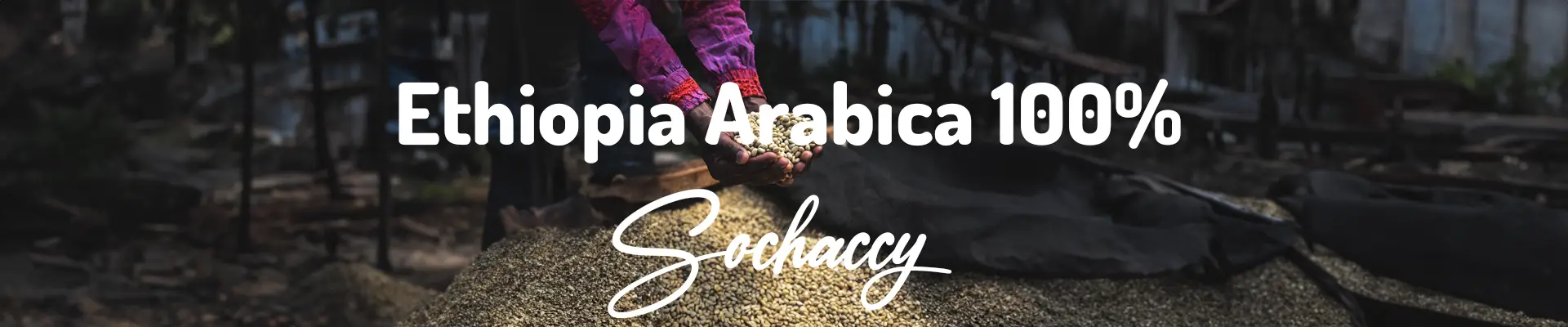 Etiopia Arabica 100% 1kg Świeżo Palona Kawa Ziarnista