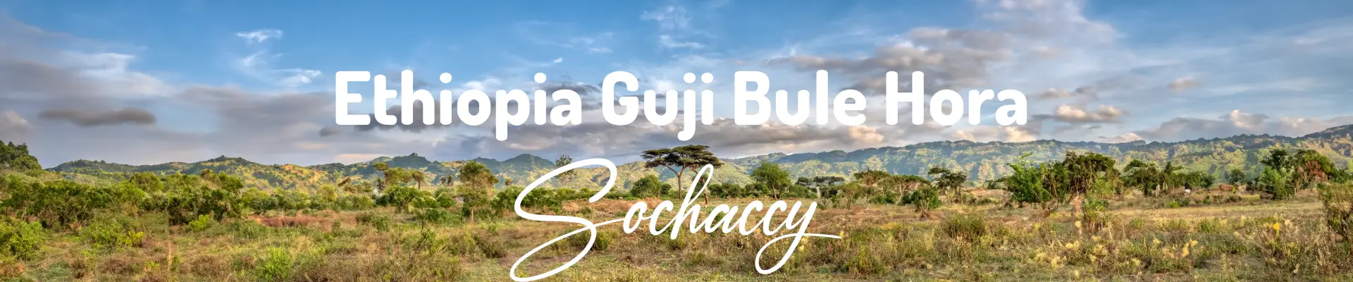 Kawa ziarnista Etiopia Guji Bule Hora