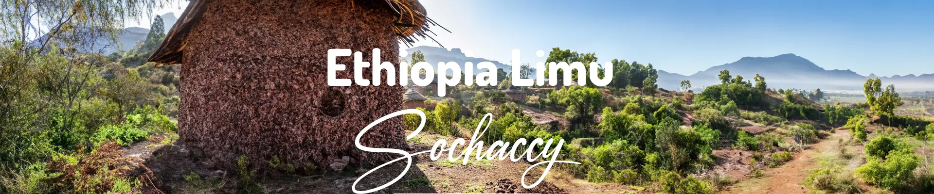 Kawa ziarnista Etiopia LImu