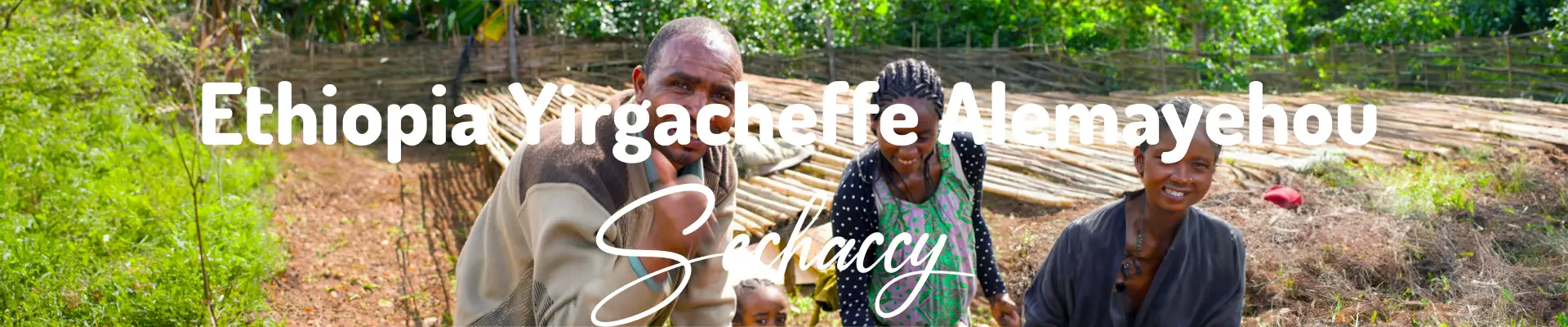 Kawa ziarnista Etiopia Yirgacheffe Alemayehou