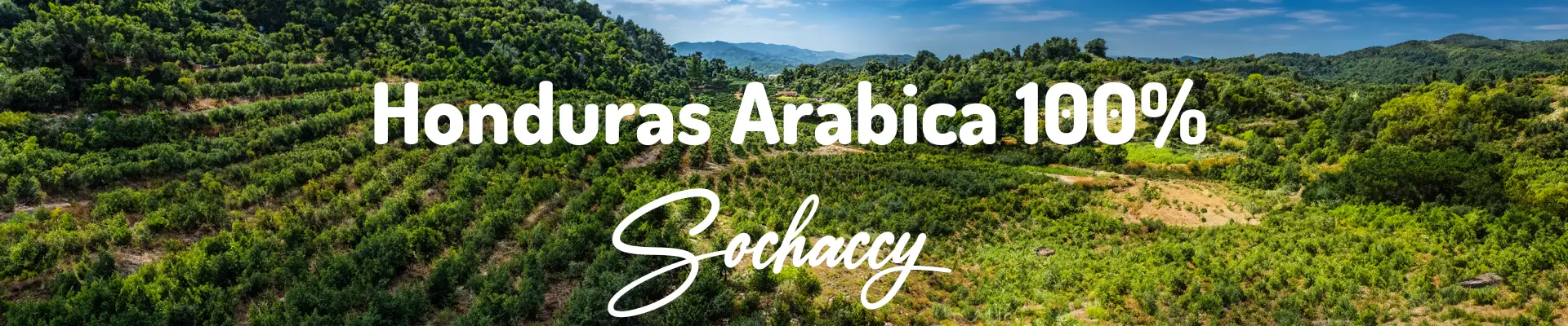 Honduras Arabica 100% Świeżo Palona Kawa Ziarnista