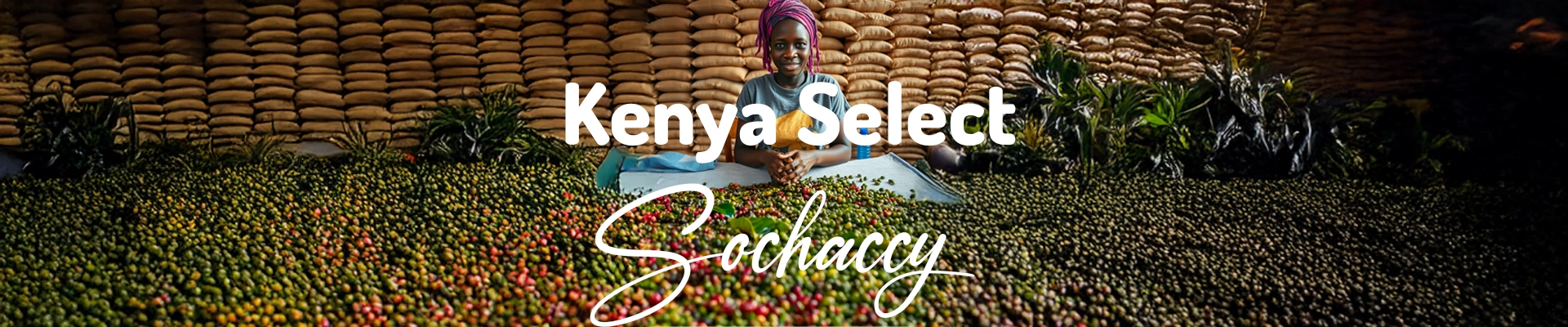 Kawa Kenia Select