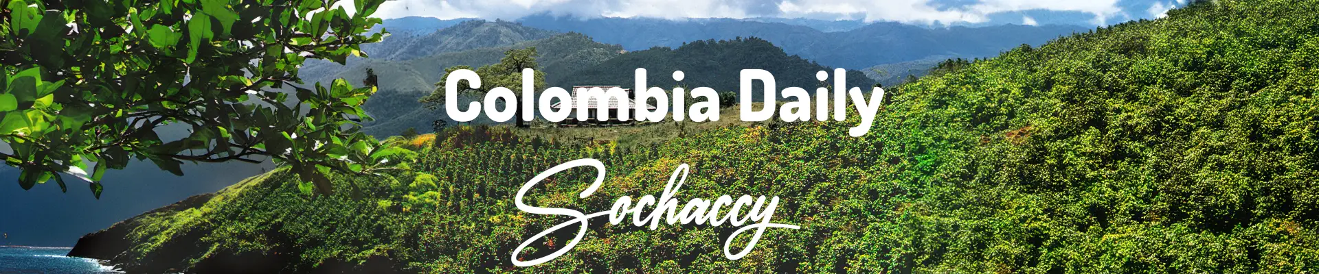 Kolumbia Daily  Świeżo Palona Arabica Rzemieślnicza Kawa Ziarnista
