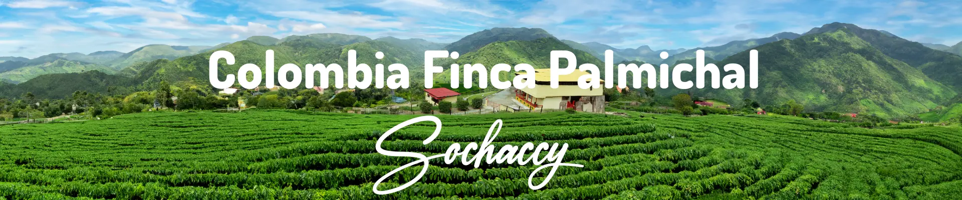 Kawa ziarnista Kolumbia Finca Palmichal