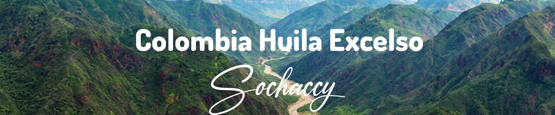 Kolumbia Huila Excelso Świeżo Palona Arabica Kawa Ziarnista