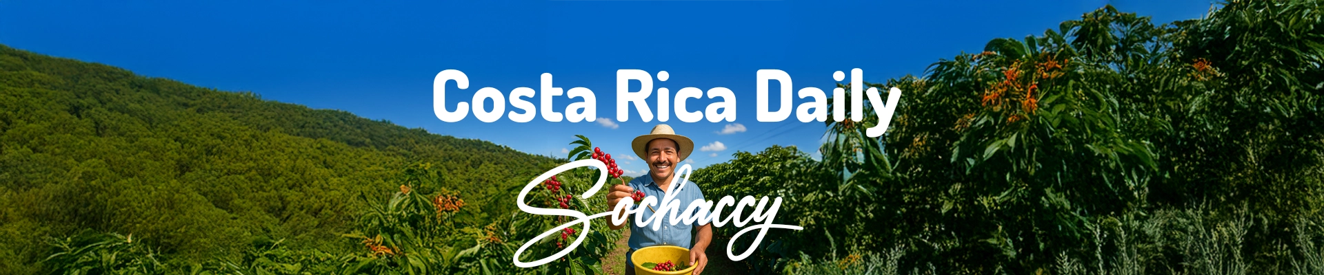 Kostaryka Daily Rzemieślnicza Kawa Ziarnista Świeżo Palona Arabica