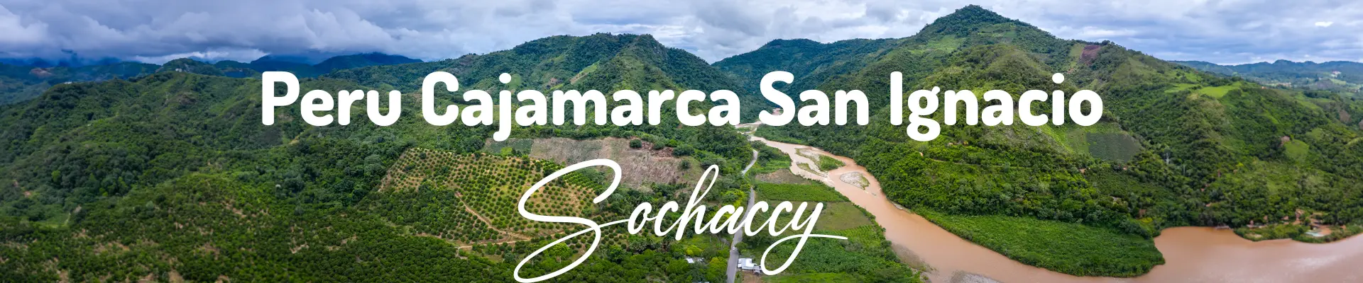 Peru Cajamarca San Ignacio Świeżo Palona Arabica Kawa Ziarnista