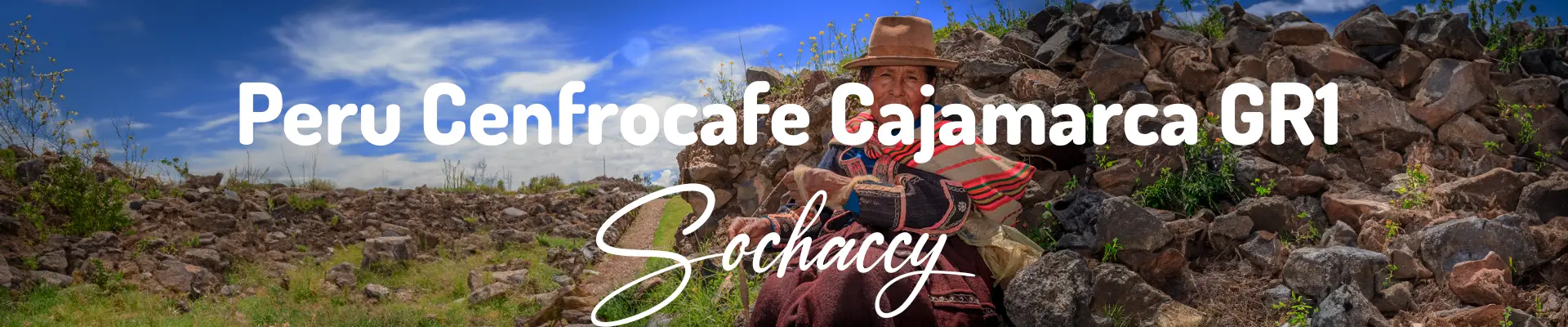 Peru Cenfrocafe Cajamarca Świeżo Palona Arabica Kawa Ziarnista