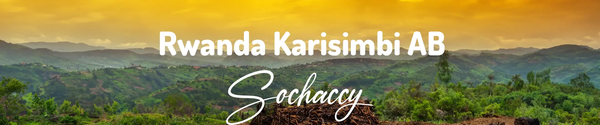 Kawa Rwanda Karisimbi Świeżo Palona Arabica Kawa Ziarnista