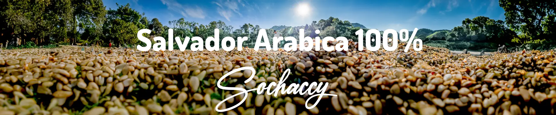Kawa ziarnista świezo palona Salwador Arabica 100