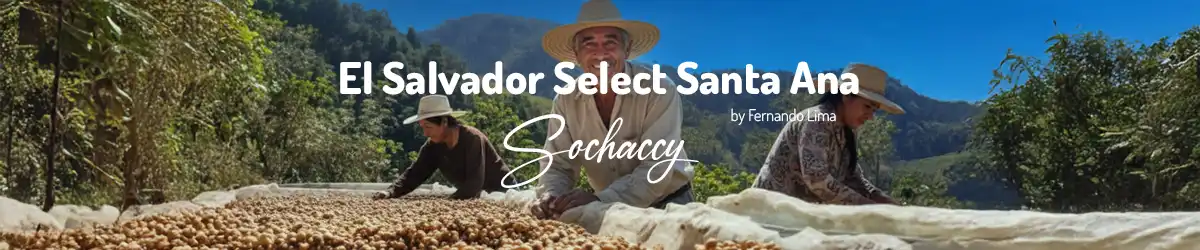 kawa Salwador Select Santa Ana