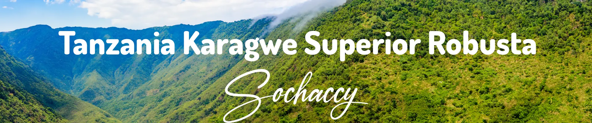 Kawa Robusta z Tanzanii