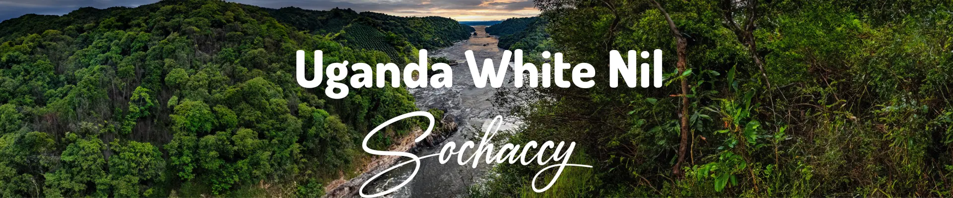 Kawa ziarnista Uganda White Nil