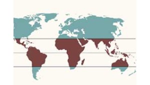 Where does coffee grow?