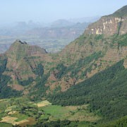 Plantacja Kawy Etiopia -Blog Palarni Kawy Sochaccy.co
