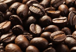 Beans vs. Ground Coffee: 20 Reasons Why You Should Choose Fresh.