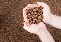 Jakie są różnice pomiędzy kawą specility a kawą komercyjną?