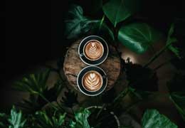 Odkryj Magię Kawy z Rzemieślniczą Palarnią Kawy Sochaccy