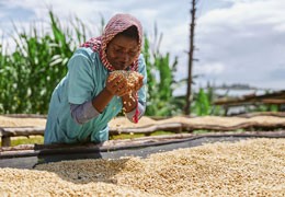 Kawa z Rwandy: Odkryj Bogactwo Smaku i Historii