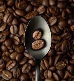  Robusta Bean Coffee