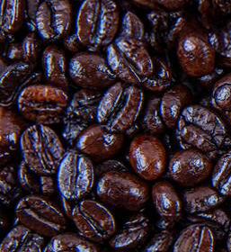 Dark Roasted Coffees