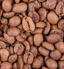 Medium Roasted Coffees